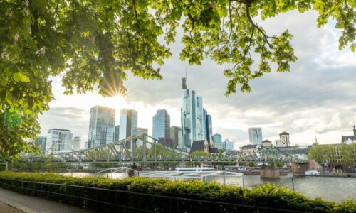 Nachhaltig leben in Frankfurt: Pflanzenfreundliche Initiativen und Projekte