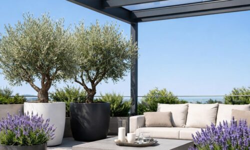 Die schönsten Pflanzen für deine überdachte Terrasse
